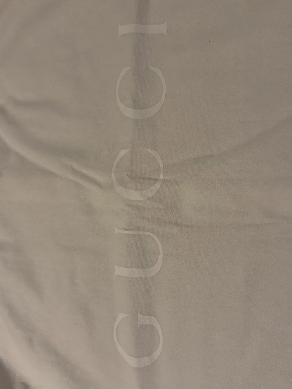 Gucci White Luxury Garment Bag